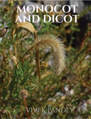 Monocot and dicot (color edition)