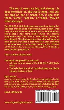 Anvil and Magnet Chapter Book: Sound-Out Phonics Books Help Developing Readers including Students with Dyslexia Learn to Read (Step 8 in a ... Books): 36 (Dog on a Log Chapter Books)