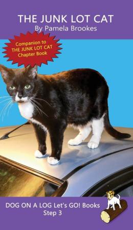 The Junk Lot Cat: Sound-Out Phonics Books Help Developing Readers including Students with Dyslexia Learn to Read (Step 3 in a Systematic Series of Decodable Books): 12 (Dog on a Log Let's Go! Books)