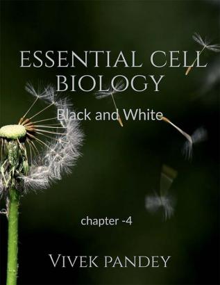 essential cell biology chapter 4 (black&amp;white) : chapter-4