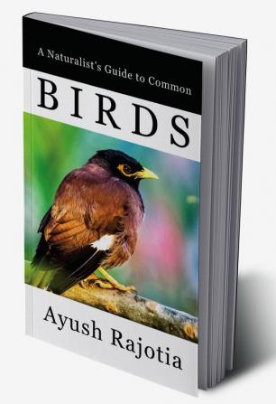 A Naturalist's Guide To Common Birds