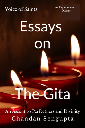 Essays on Gita: An Ascent to Perfectness and Divinity