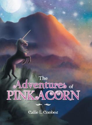 The Adventures of Pinkacorn