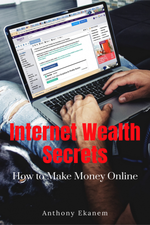 Internet Wealth Secrets : How to Make Money Online