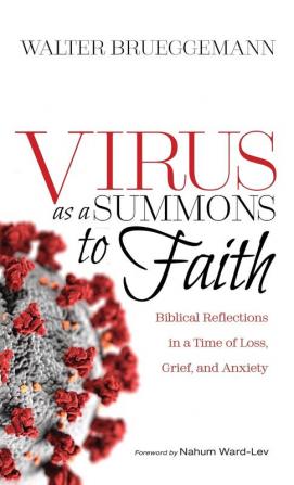 Virus as a Summons to Faith: Biblical Reflections in a Time of Loss Grief and Uncertainty