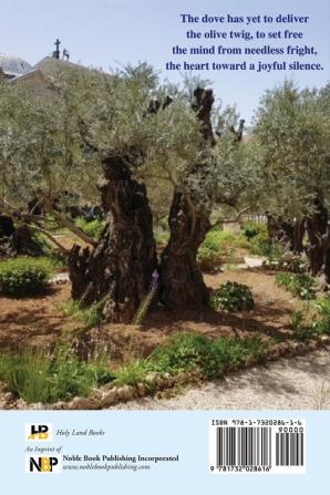 Jerusalem: The Home in Our Hearts: A Family's Multigenerational Story of Faith Hope and Resilience