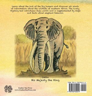 The Elephant's Euphonium: A Little Tusker's Adventures in Africa (Little Global Adventurers)