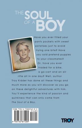 The Soul of a Boy: True-life tales full of wit and warmth of childhood