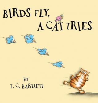 Birds Fly A Cat Tries