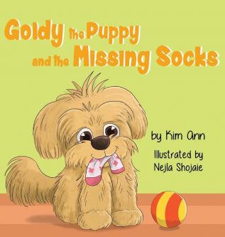 Goldy the Puppy and the Missing Socks: 1