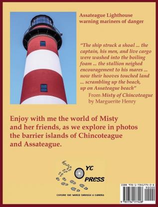 Chincoteague-Assateague Seaside Adventure: A Photo-Journey Guide