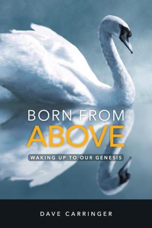 Born from Above: Waking Up to Our Genesis