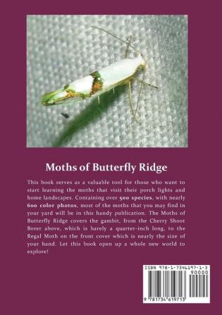 The Moths of Butterfly Ridge: A Beginners Guide to Attracting and Identifying Moths in Ohio