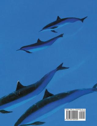 Discover Hawai'i's Marine Mammals