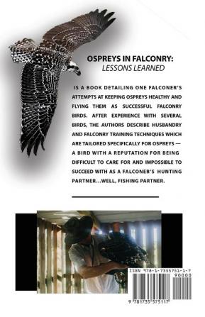 Ospreys in Falconry: Lessons Learned