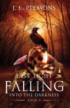 Last Light Falling - Into The Darkness Book II: 2 (Last Light Falling Saga)