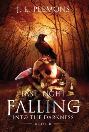 Last Light Falling - Into The Darkness Book II: 2 (Last Light Falling Saga)