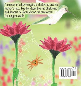 Baby Hummer Grows Up: Book 2 of 2: Tales from Gramma's Garden