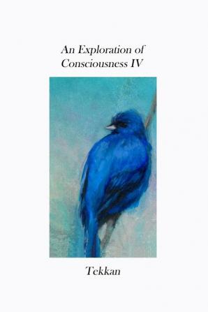 An Exploration of Consciousness IV