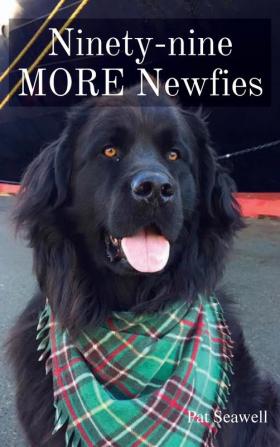 Ninety-nine MORE Newfies