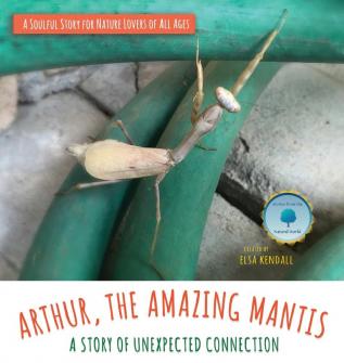 Arthur The Amazing Mantis: A Story of Unexpected Connection: 1 (Stories from the Natural World)