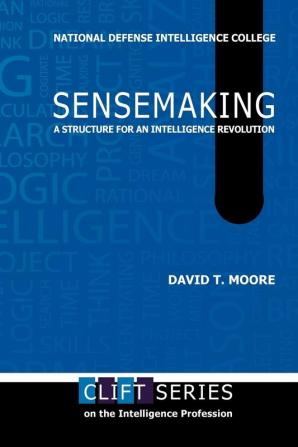 Sensemaking: A Structure for an Intelligence Revolution