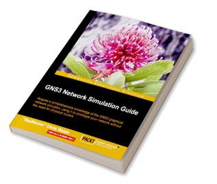 GNS3 Network Simulation Guide