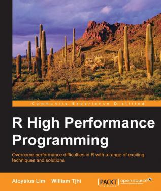 R High Performance Programming