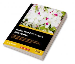 Mobile Web Performance Optimization