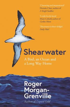 Shearwater