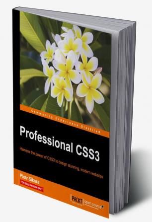 Professional CSS3