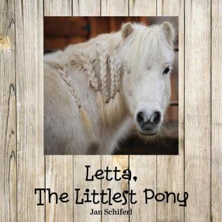 Letta The Littlest Pony (Wj Ranch Critter)