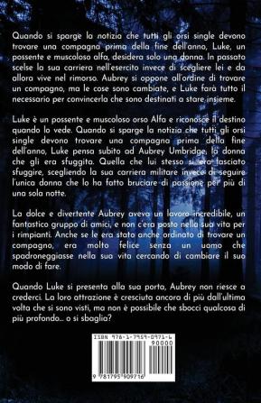 L'ossessione di Luke: per ipovedenti: 1 (Gli Orsi Dello Chalet Rosso)