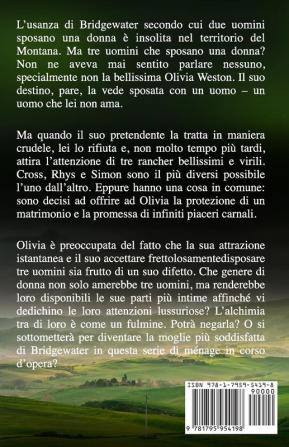 La sposa ammaliata: Edizione a grandi caratteri: 3 (Serie Sui Ménage Di Bridgewater)