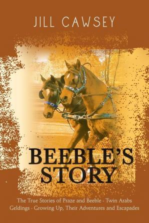 Beeble's Story