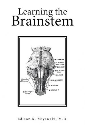 Learning the Brainstem