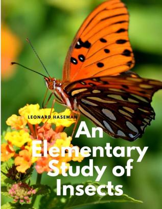 An Elementary Study of Insects