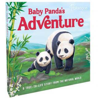 Baby Panda's Adventure