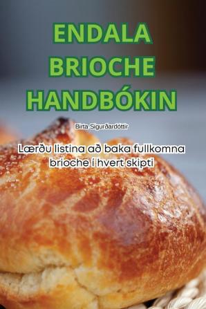 ENDALA BRIOCHE HANDB��KIN