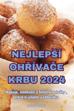 Nejlepsí Ohřívače Krbu 2024 (Czech Edition)