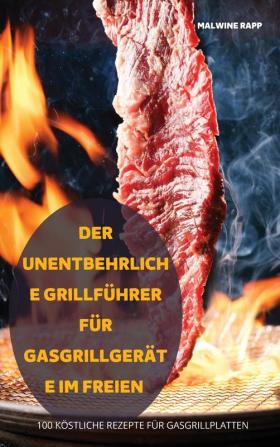 Der Unentbehrliche Grillführer Für Gasgrillgeräte Im Freien (German Edition)