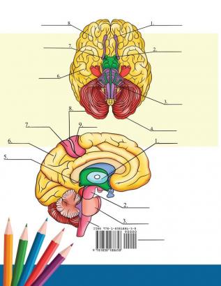 Libro para colorear de neuroanatomía: Libro para colorear detalladísimo de cerebro humano para autoevaluación en la neurociencia Un regalo perfecto ... de medicina enfermeras médicos y adultos