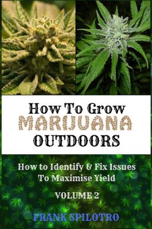 How to Grow Marijuana Outdoors: How to Identify & Fix Issues To Maximise Yield: 2