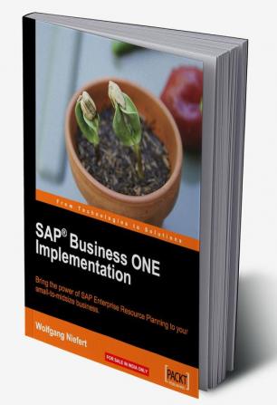 SAP Business ONE Implementation