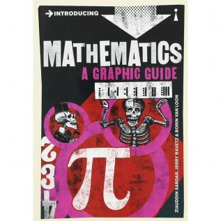 Introducing Mathematics: A Graphic Guide (Graphic Guides)