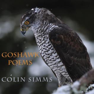 Goshawk Poems