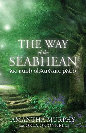 The Way of the Seabhean: An Irish Shamanic Path