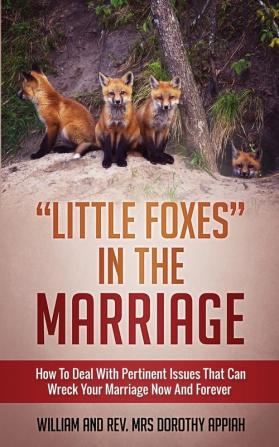 Little Foxes in the Marriage: How to Deal with Pertinent Issues That Can Wreck Your Marriage Now and Forever