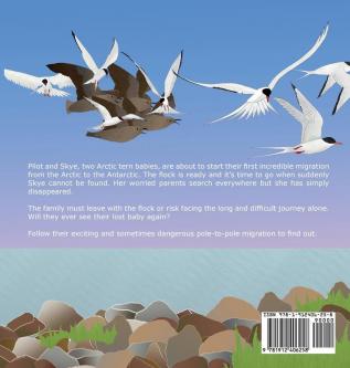 Searching for Skye: An Arctic Tern Adventure