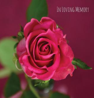 In Loving Memory Funeral Guest Book Celebration of Life Wake Loss Memorial Service Funeral Home Church Condolence Book Thoughts and In Memory Guest Book (Hardback)